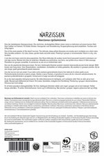 Botanische Narzisse Tête à Tête