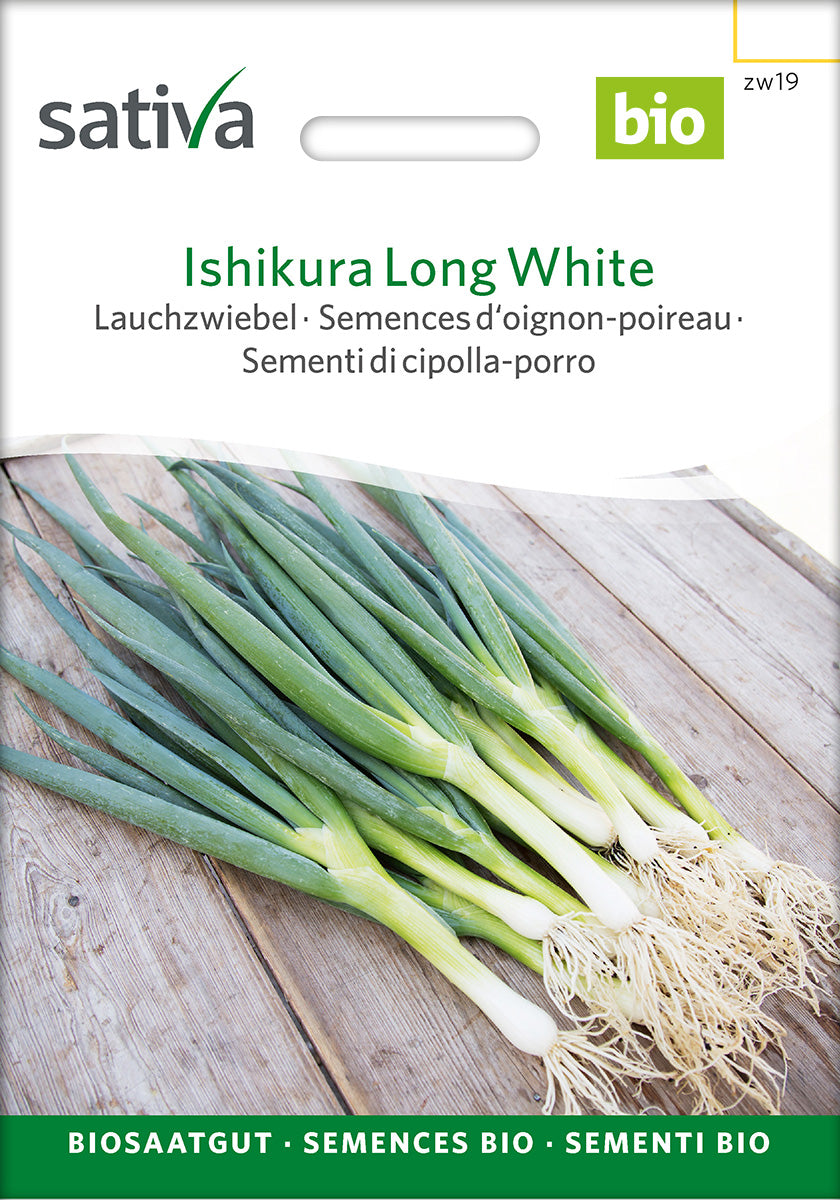 Sativa Lauchzwiebel Ishikura Long White
