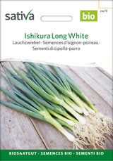 Sativa Lauchzwiebel Ishikura Long White