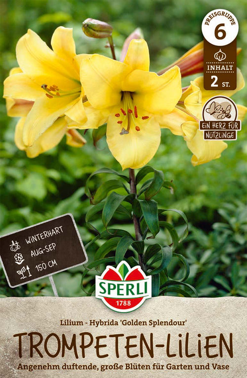 SPERLI Lilie Lilie Golden Splendor