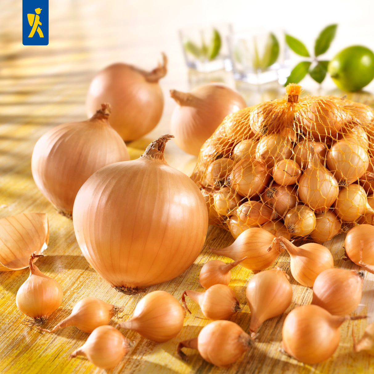 Kiepenkerl Steckzwiebeln Stuttgarter Riesen 500 g