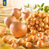 Kiepenkerl Steckzwiebeln Stuttgarter Riesen 500 g