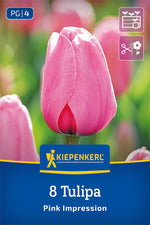 Darwin-Hybrid-Tulpe Pink Impression