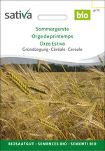 Sativa BIO Gründüngung Sommergerste