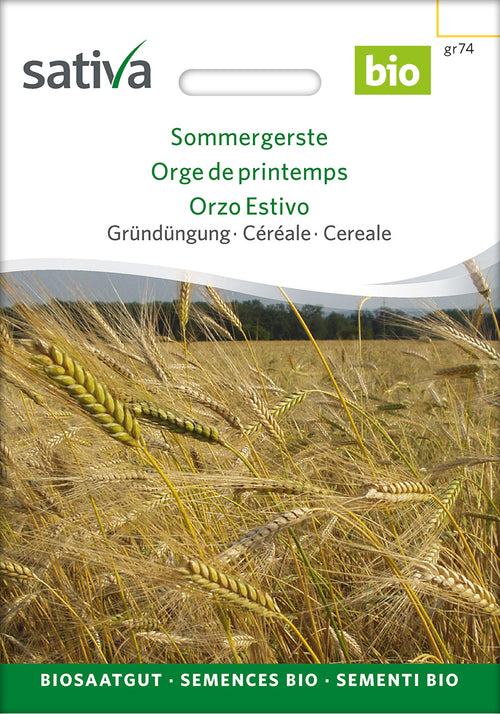 Sativa BIO Gründüngung Sommergerste