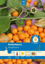 Frische Andenbeeren, auch Physalis oder Inkaflaume genannt, mit Blättern und typischer orangener Frucht.