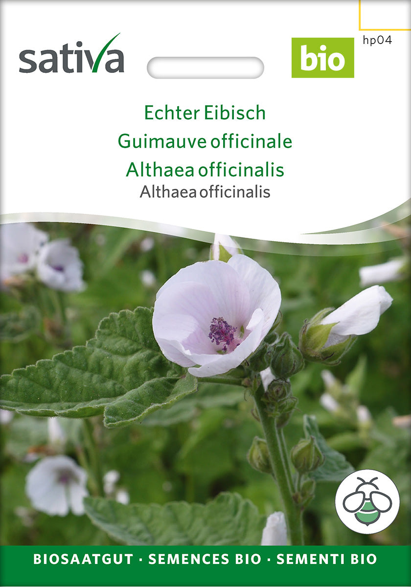 Sativa Althaea officinalis Echter Eibisch
