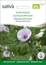 Sativa Althaea officinalis Echter Eibisch