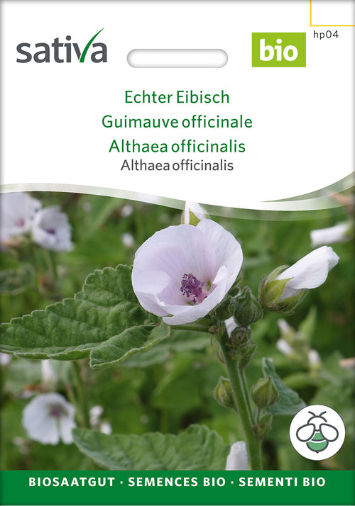 Sativa Althaea officinalis Echter Eibisch