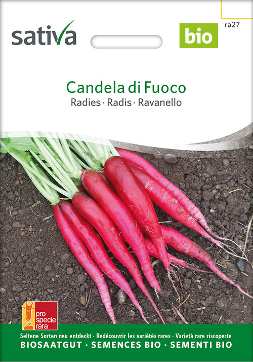Sativa Radies Candela di Fuoco