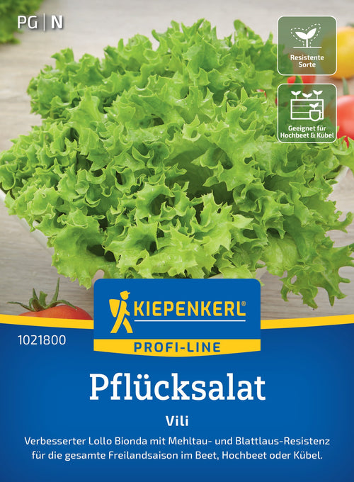 Kiepenkerl Pflück- & Schnittsalat Vili