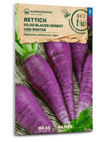 Samen Maier BIO Rettich Hilds Blauer Herbst Winter