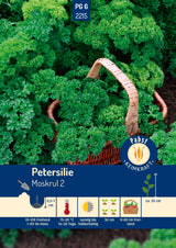 Pabst Keimkraft Petersilien Mooskrause 2