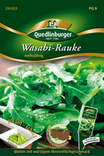 Quedlinburger Rucola Wasabi-Rauke