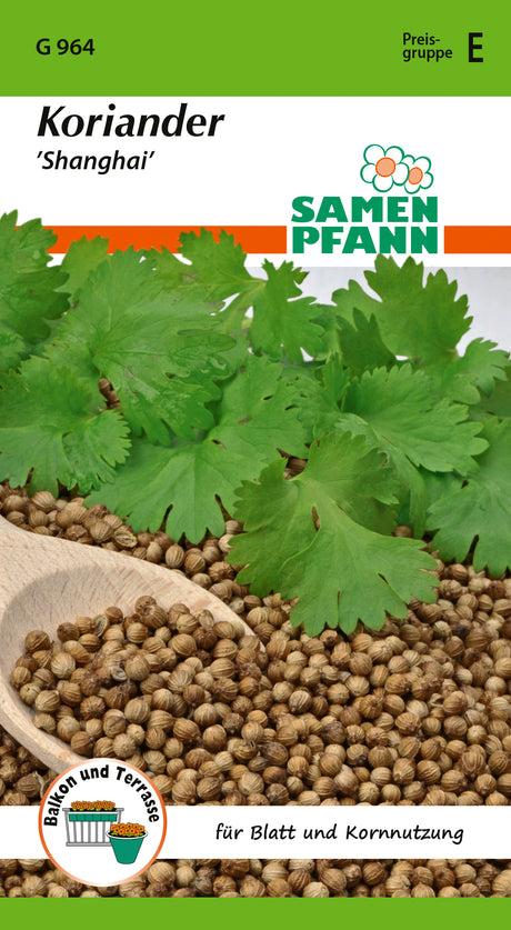 Samen Pfann Koriander Shanghai