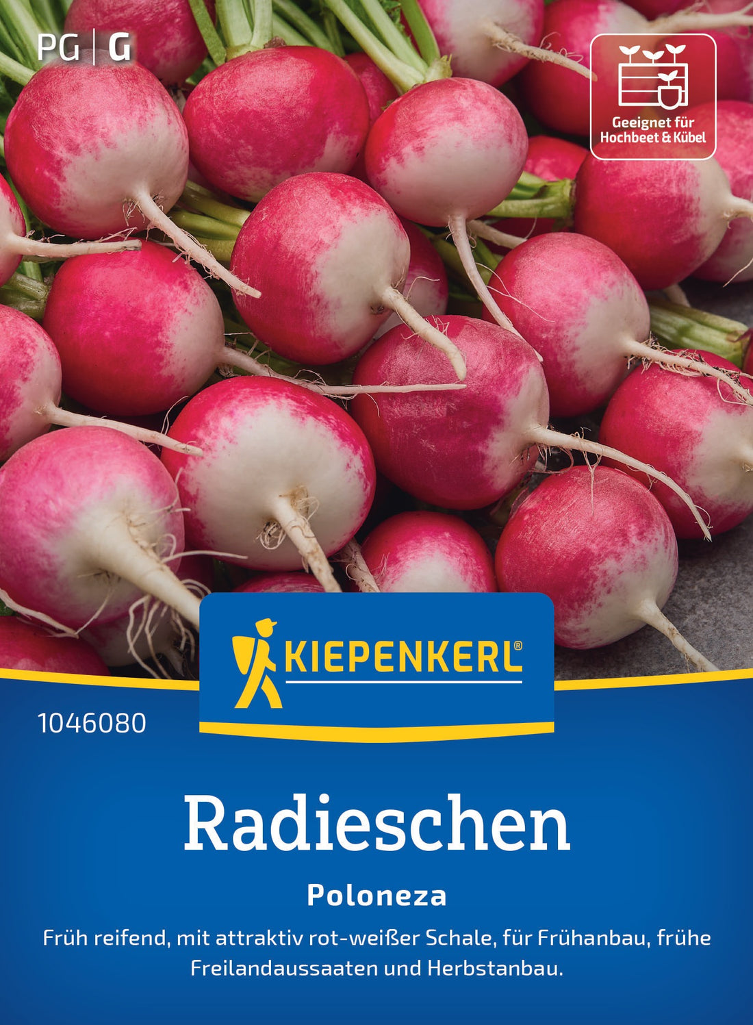 Kiepenkerl Radieschen Poloneza