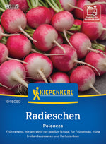 Kiepenkerl Radieschen Poloneza