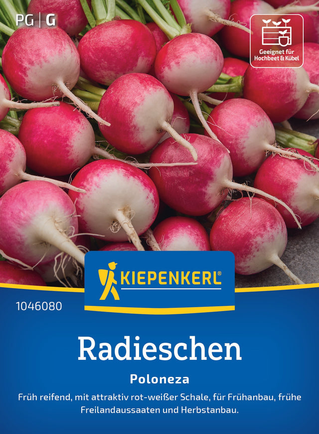 Kiepenkerl Radieschen Poloneza