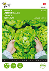 Buzzy Seeds Kopfsalat Appia