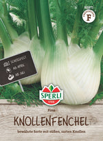 SPERLI Knollfenchel Fino