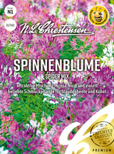 N.L. Chrestensen Spinnenblume Spider Mix