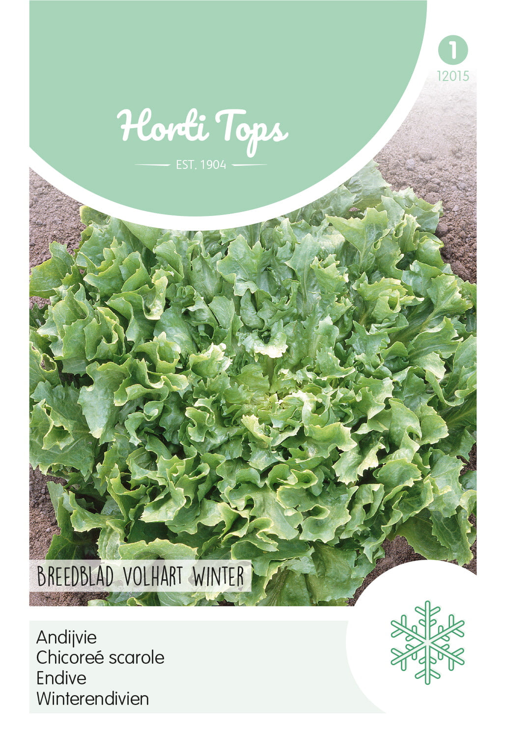 Horti Tops Winterendivie Escariol Grüner