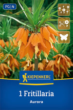 Kaiserkrone Aurora