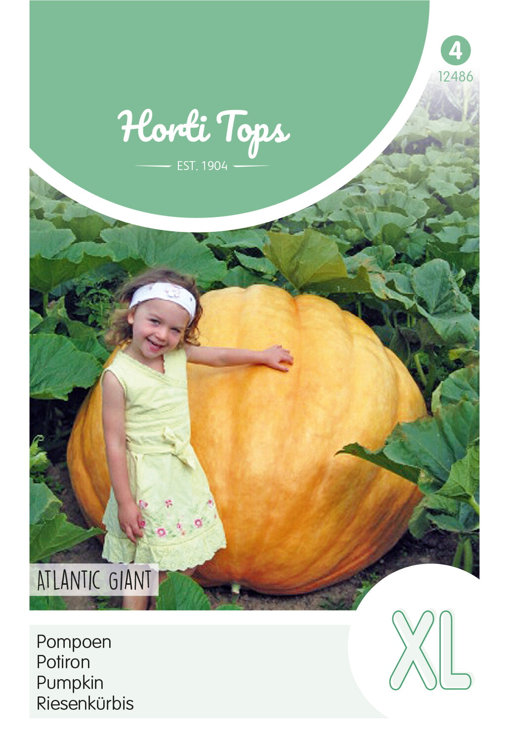 Horti Tops Kürbis Calendula Arvensis