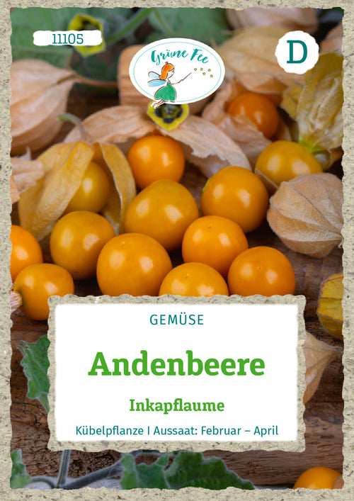 Reife Andenbeeren, auch Kapstachelbeeren oder Inkaflaume genannt, auf Holz mit grünen Blättern