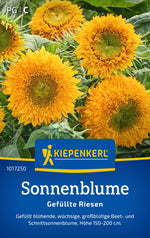 Kiepenkerl Sonnenblumen Gefüllte Riesen