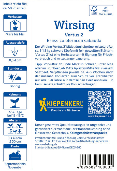 Kiepenkerl Wirsing Vertus 2