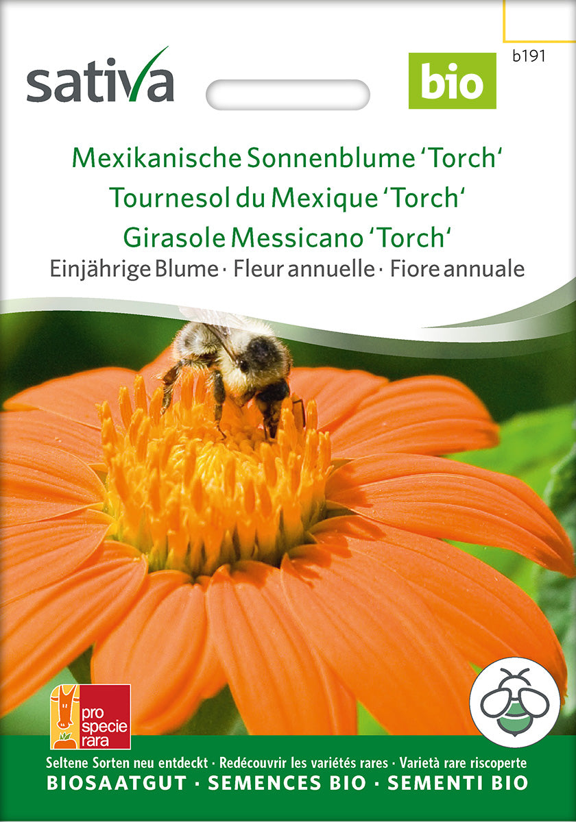 Sativa Mexikanische Sonnenblume Torch