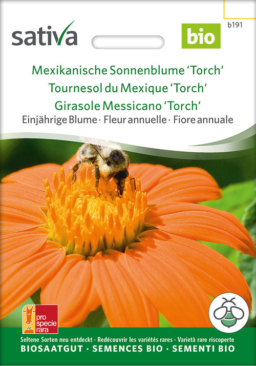 Sativa Mexikanische Sonnenblume Torch