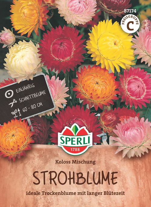 SPERLI Strohblume Koloss Mischung