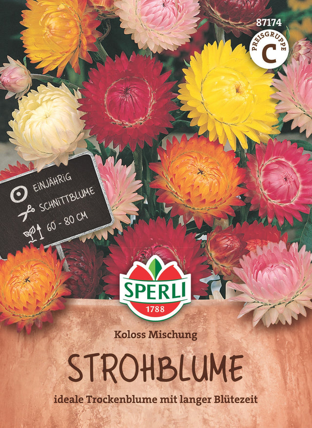 SPERLI Strohblume Koloss Mischung