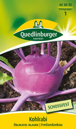 Quedlinburger Kohlrabi Delikateß blauer