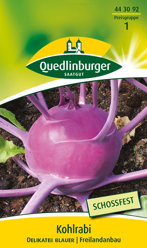 Quedlinburger Kohlrabi Delikateß blauer