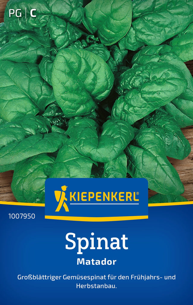 Kiepenkerl Spinat Matador