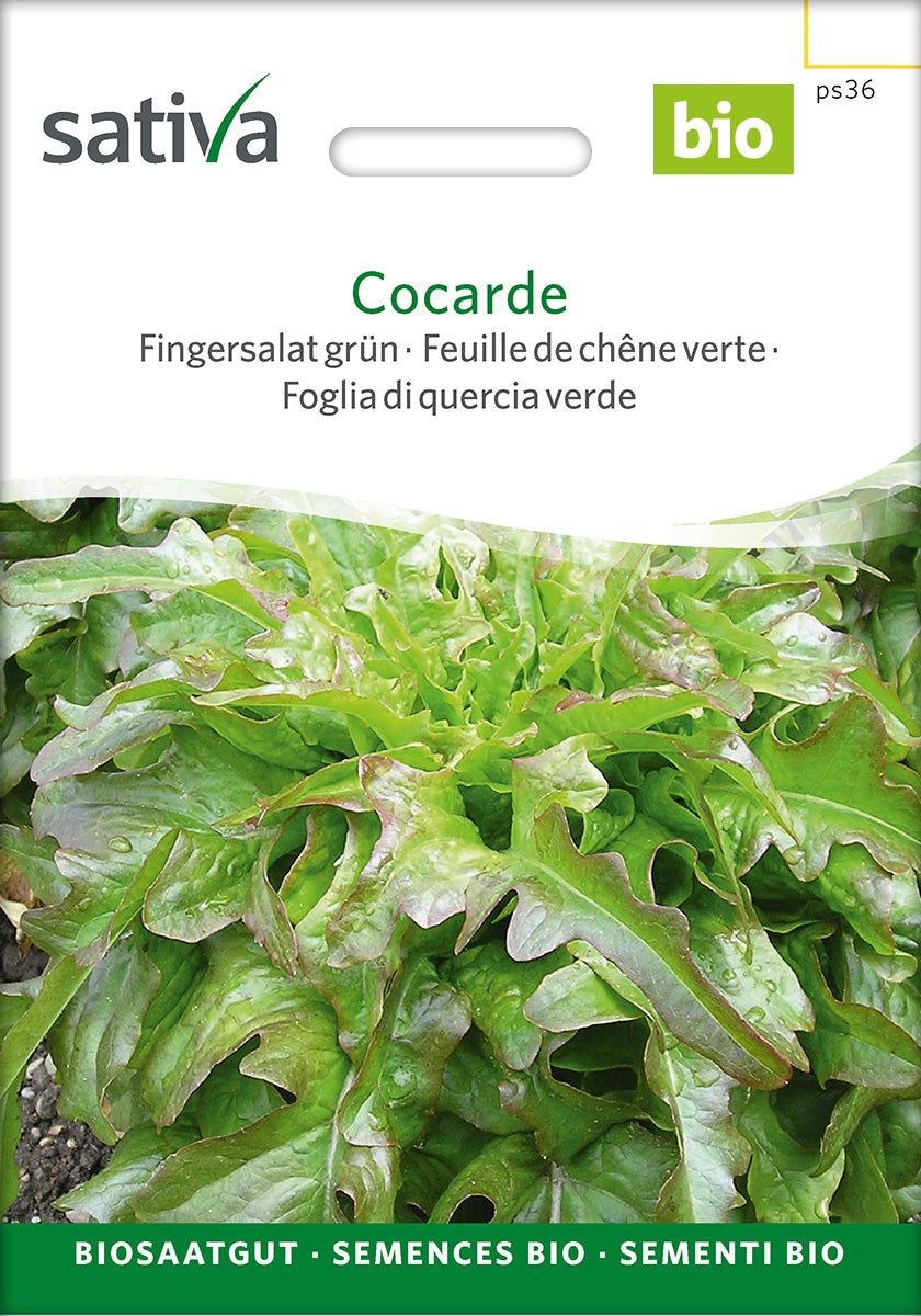 Sativa Fingersalat grün Cocarde