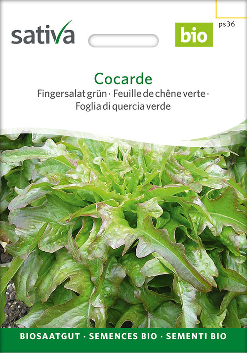 Sativa Fingersalat grün Cocarde