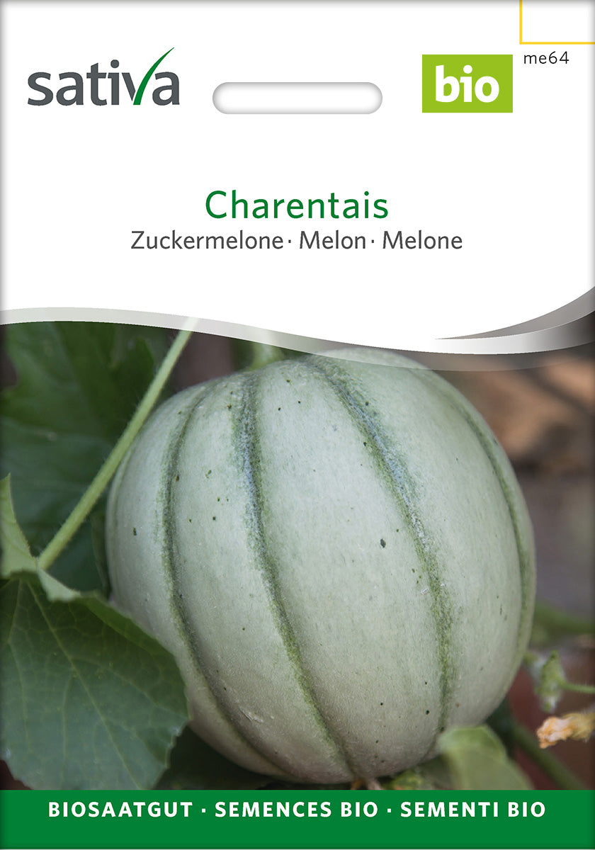 Sativa Zuckermelone Charentais