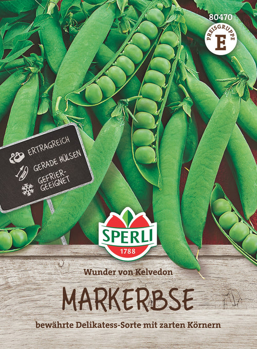 SPERLI Markerbse Wunder von Kelvedon