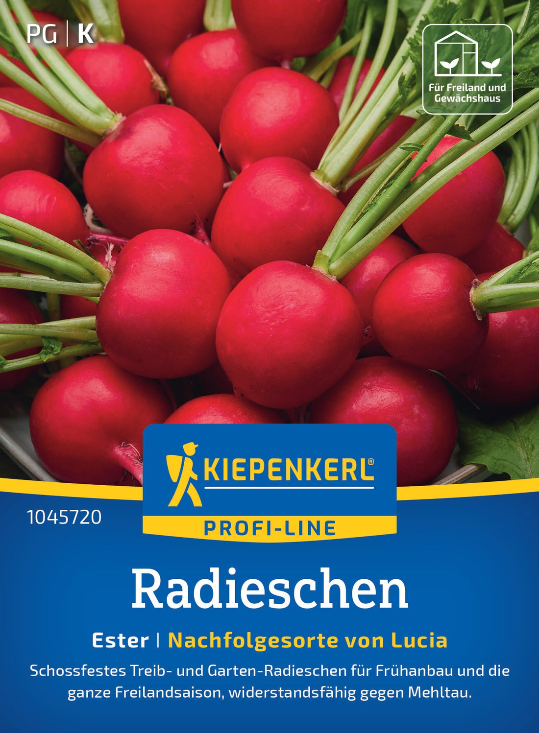 Kiepenkerl Radieschen Ester
