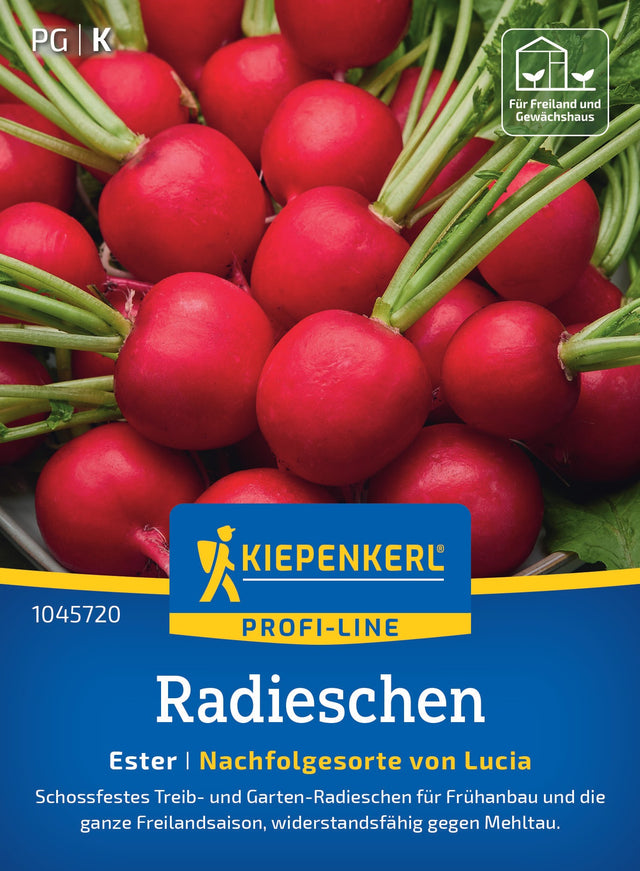 Kiepenkerl Radieschen Ester