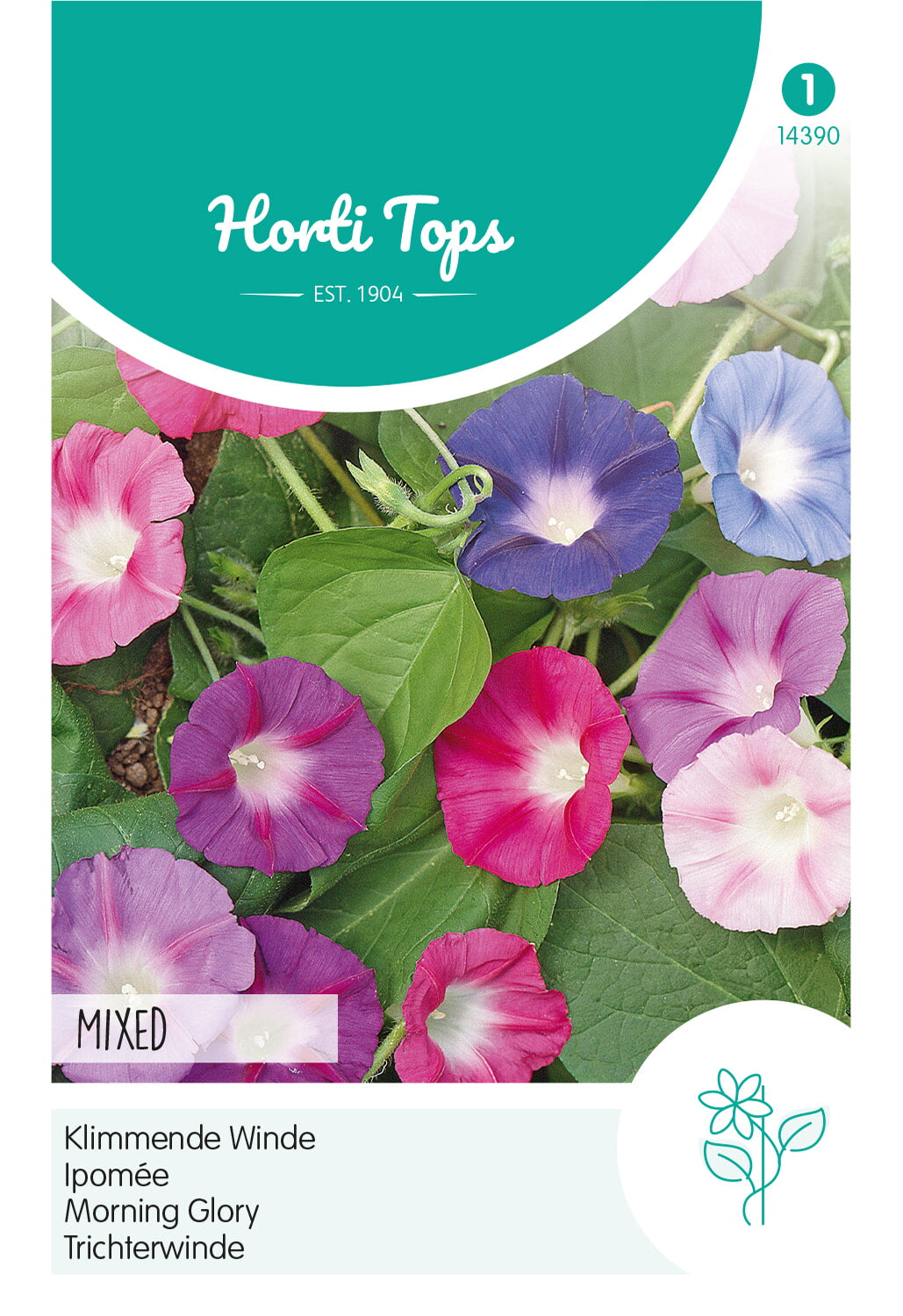 Horti Tops Prunkwinde Purpurea Mischung