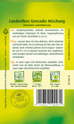 Quedlinburger Gartennelke Grenadin Mischung