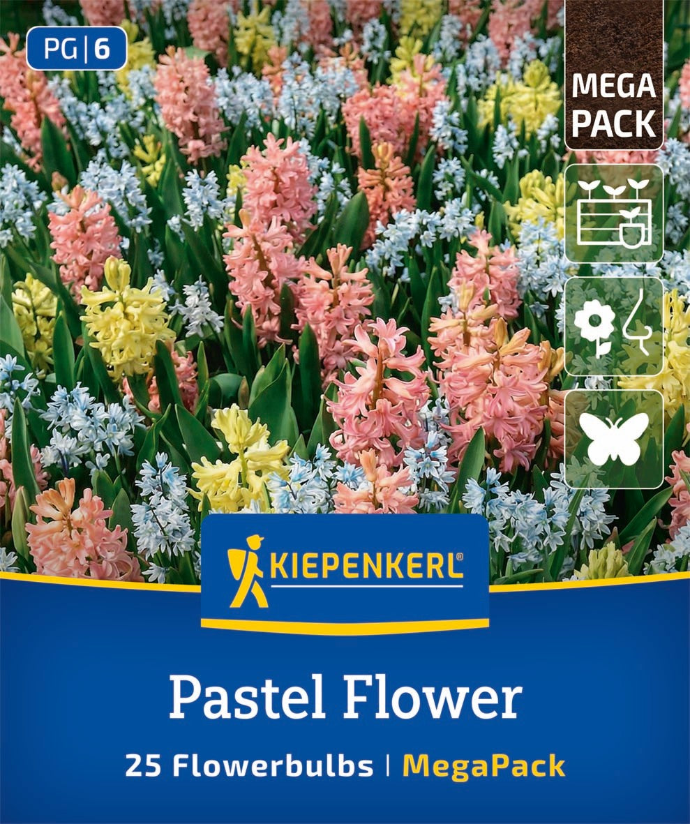 Mega Pack Pastel Flower