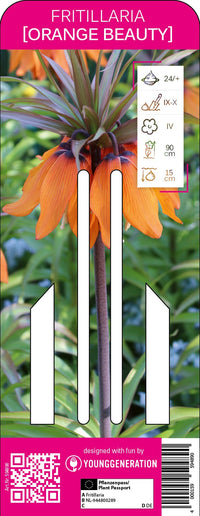Kaiserkrone Orange Beauty
