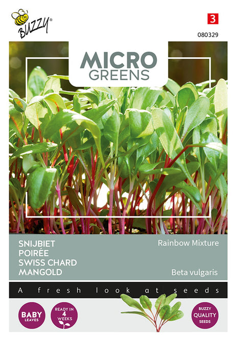 Buzzy Seeds Microgreens Mangold Regenbogen Mischung
