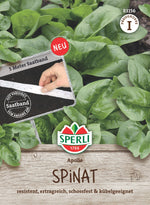SPERLI Spinat Apollo, F1